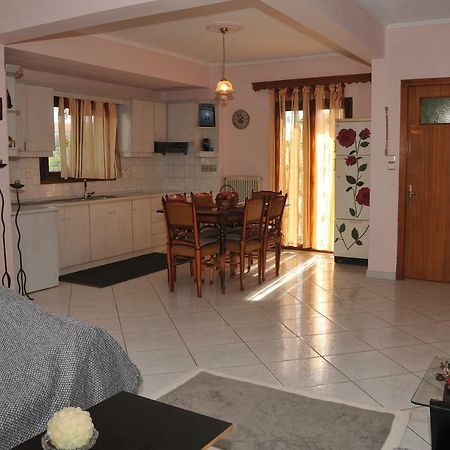 Eagle'S Family Apartment Kalampaka Экстерьер фото